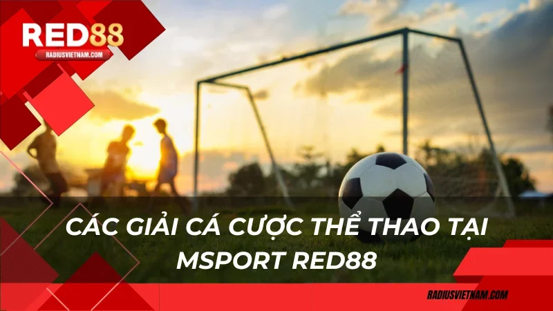 Các giải cá cược thể thao tại Msport RED88