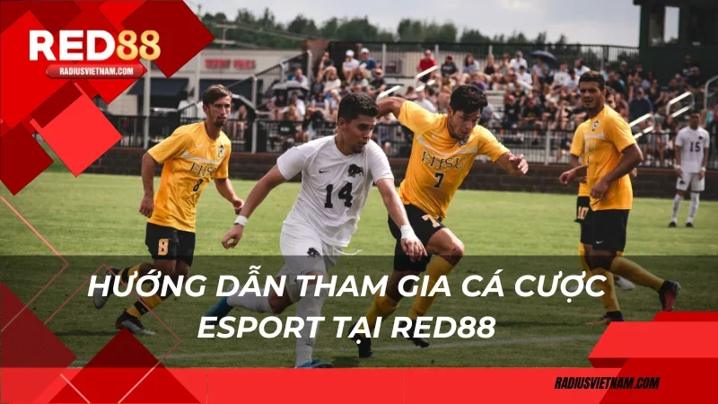 Hướng dẫn tham gia cá cược Esport tại RED88