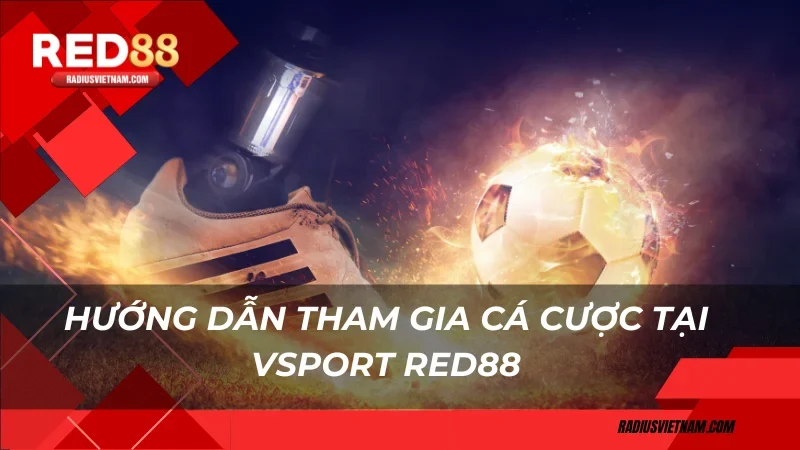 Hướng dẫn tham gia cá cược tại VSport Red88