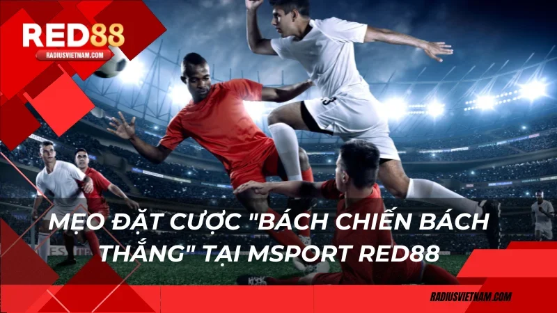 Mẹo đặt cược "bách chiến bách thắng" tại Msport RED88